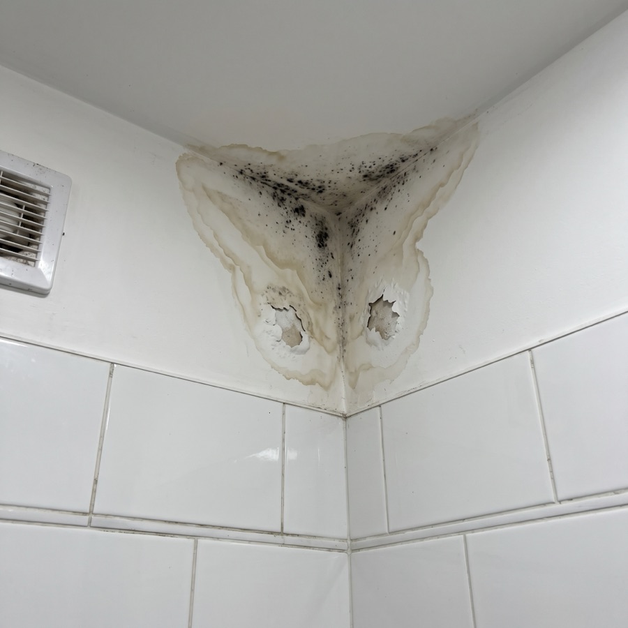 Damp stain with black mould and peeling paint in the upper corner of a bathroom, documented during an inspection.